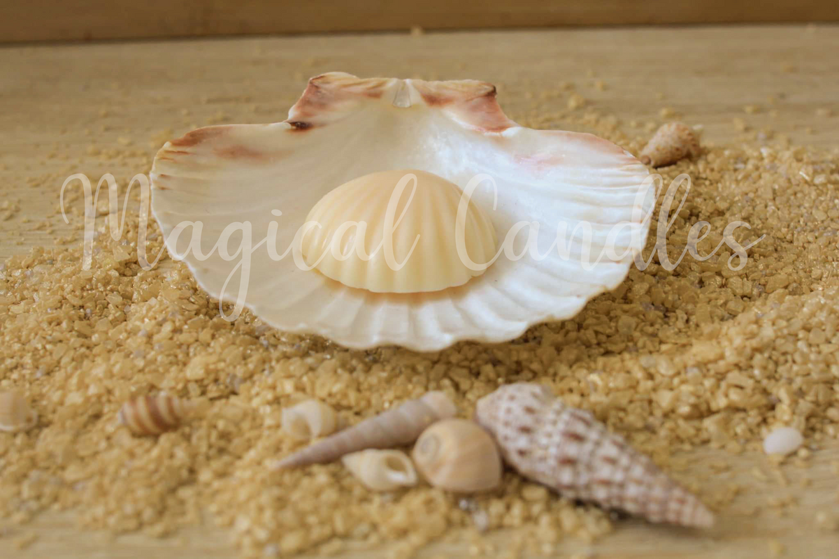 Fondant parfumé, Sun Nectar – Le Coquillage Solaire (Escale d'Été), (10g), cire végétale