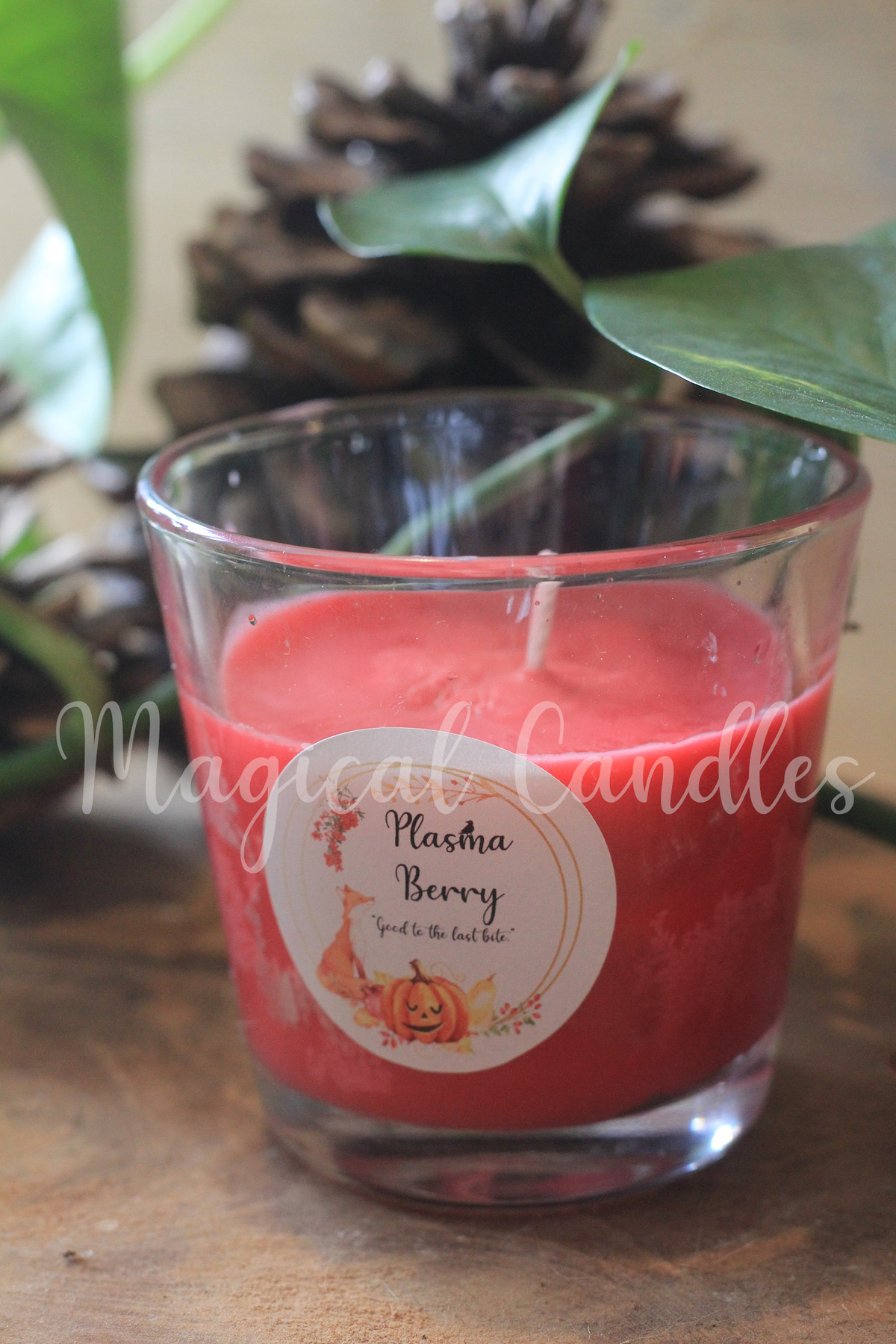 Bougie parfumée, Plasma Berry (90g), cire végétale