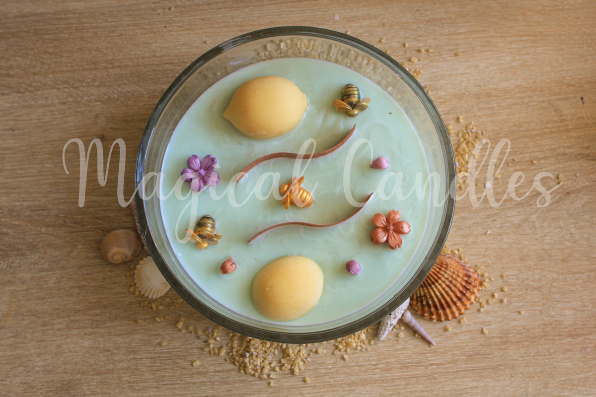 Bougie parfumée, Citronella Sanctuary (750g), cire végétale