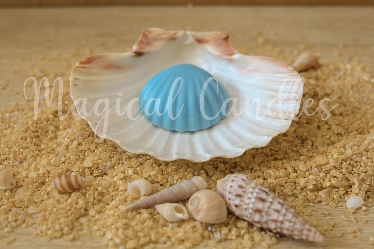 Fondant parfumé, Sun Nectar – Le Coquillage Solaire (Escale d'Été), (10g), cire végétale