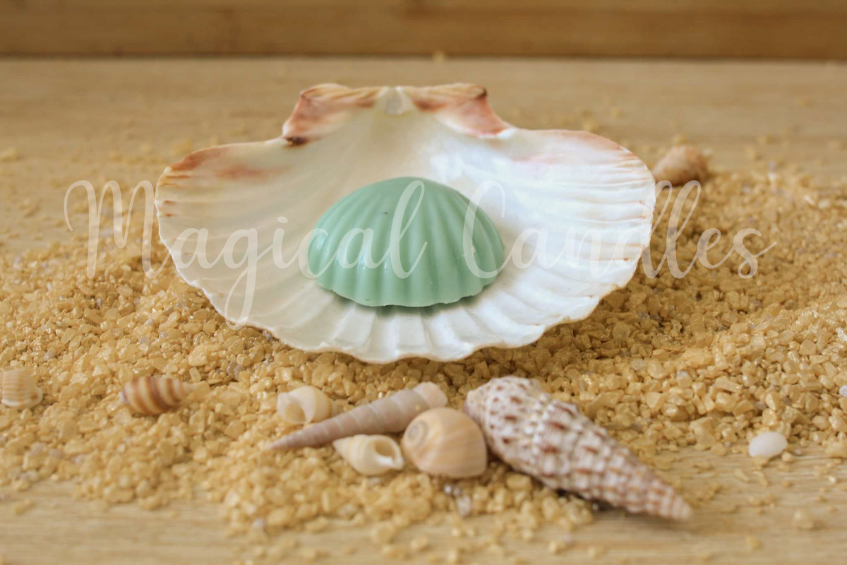 Fondant parfumé, Sun Nectar – Le Coquillage Solaire (Escale d'Été), (10g), cire végétale