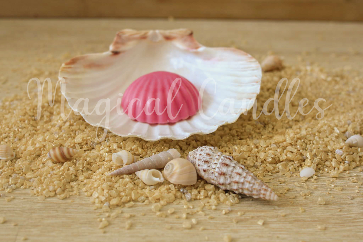 Fondant parfumé, Sun Nectar – Le Coquillage Solaire (Escale d'Été), (10g), cire végétale